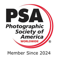 PSA Logo