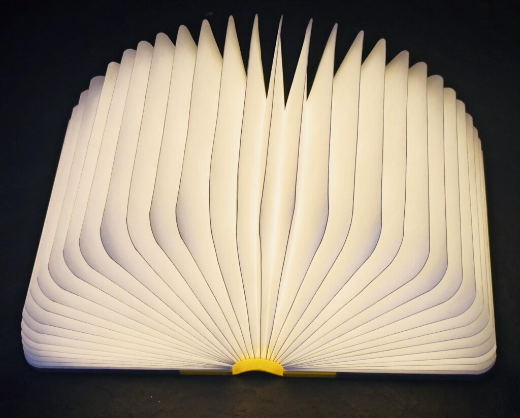 Photo by Debbi Swanson, Illuminated Manuscript, 5